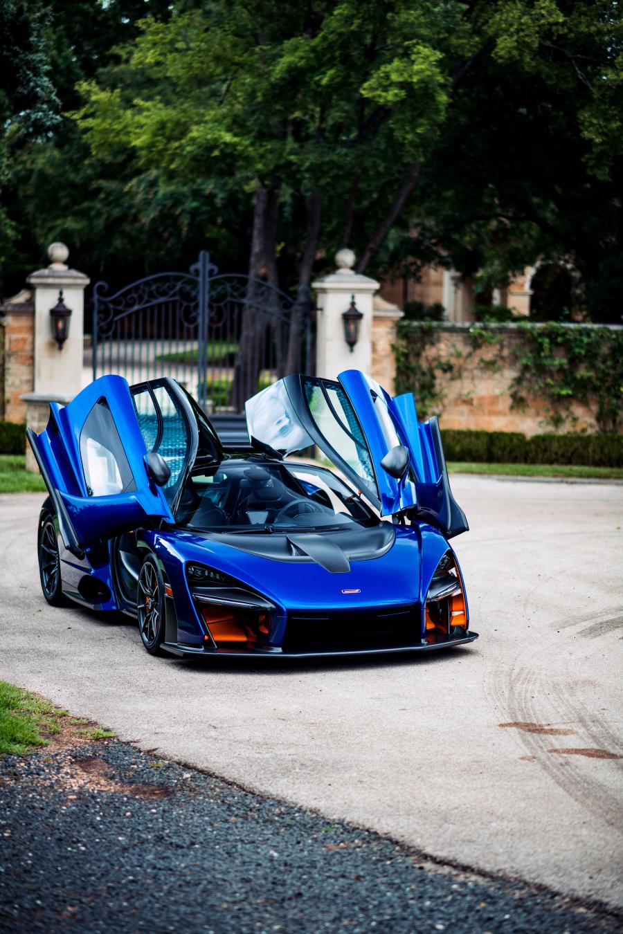  McLaren Senna (P15) 2019 года  (NA) (фото 9 из 44)